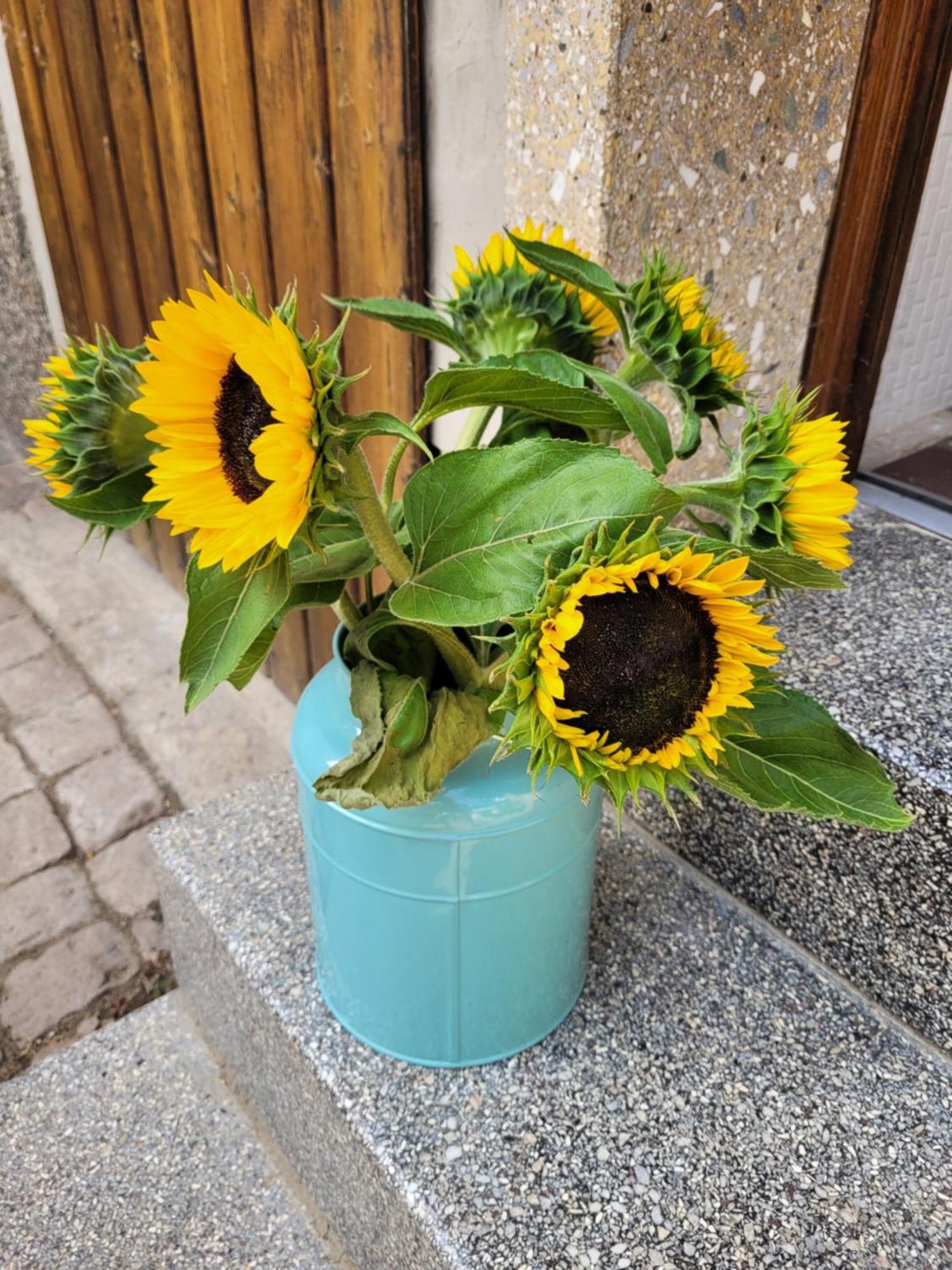 Das Hoefchen Stadecken 外观 照片