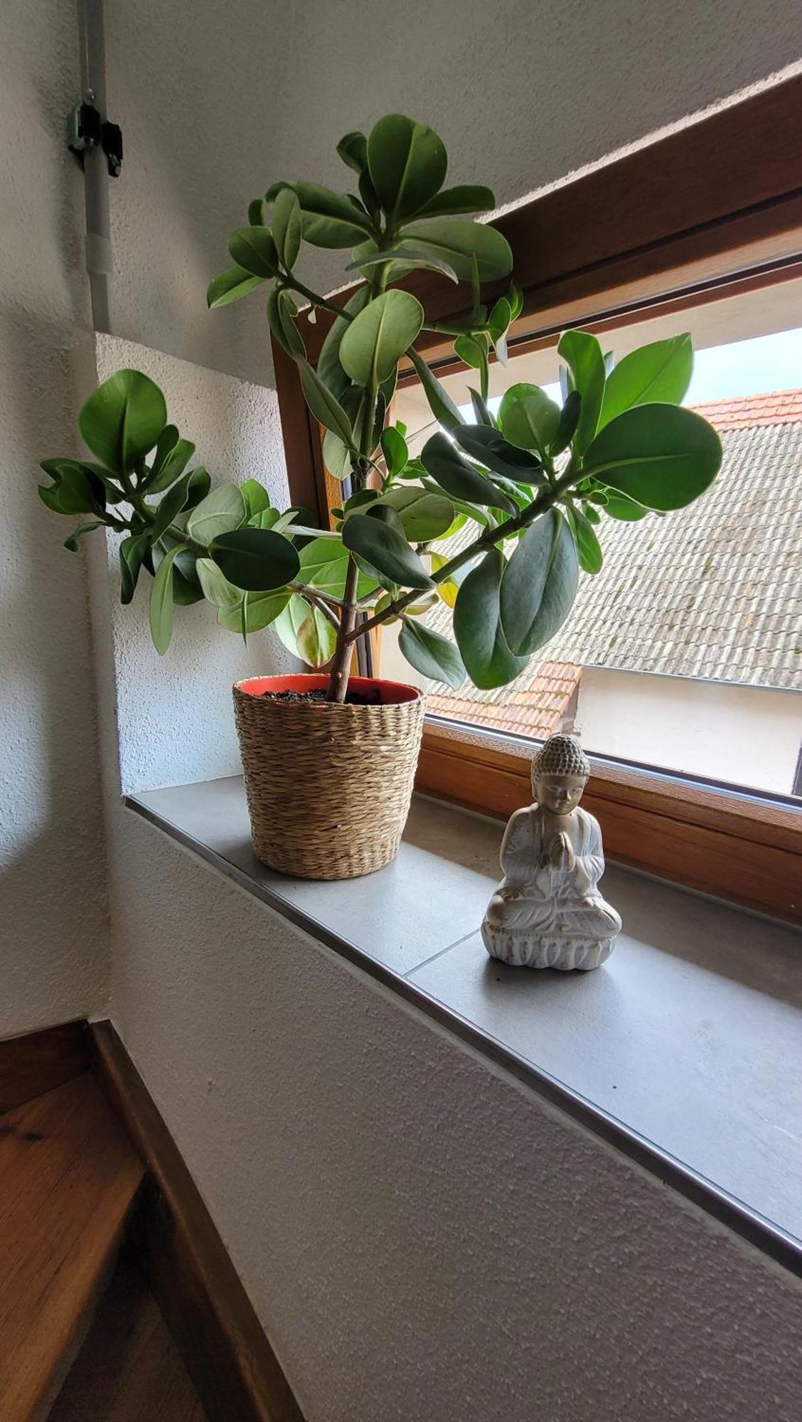 Das Hoefchen Stadecken 外观 照片